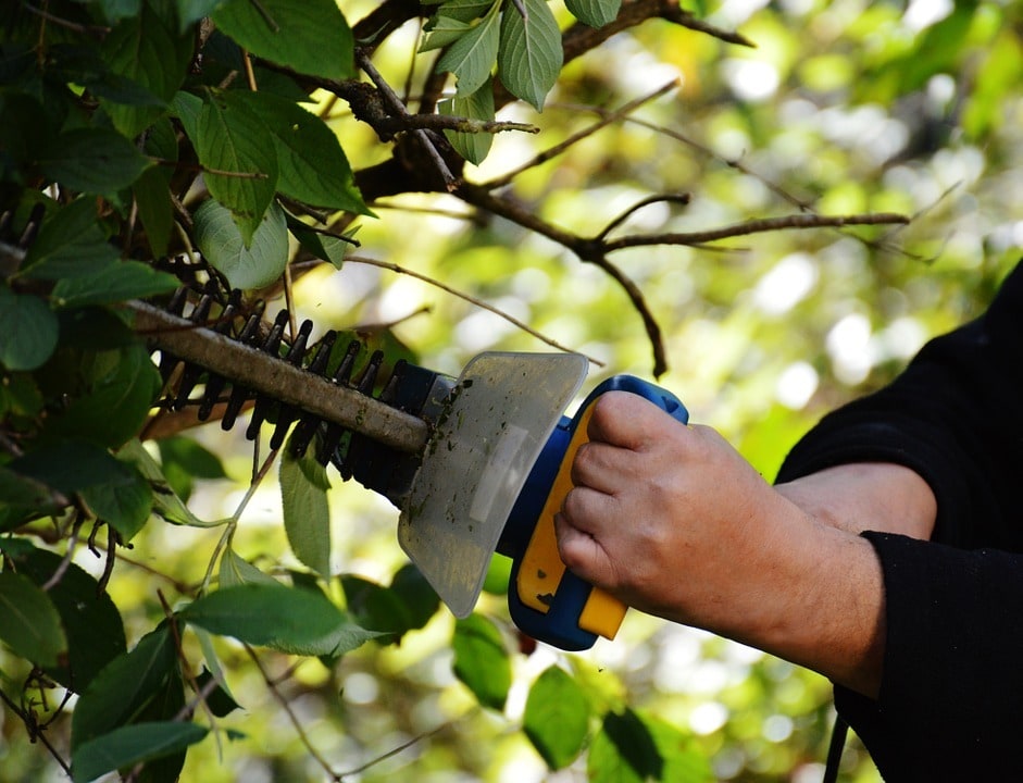 Concevoir un jardin esthétique avec un paysagiste