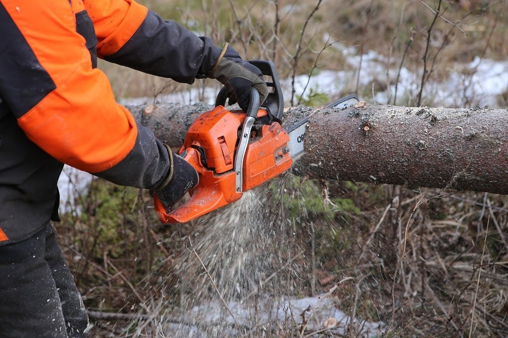 Pourquoi il devient parfois nécessaire d'envisager l'abattage d'arbres ?